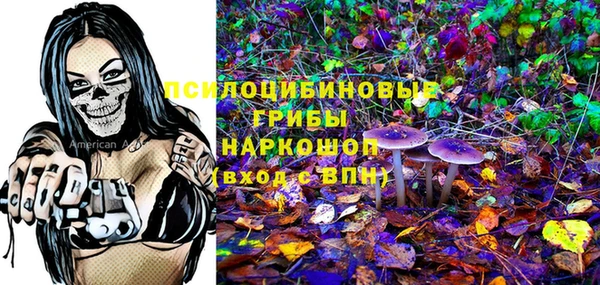 индика Белоозёрский