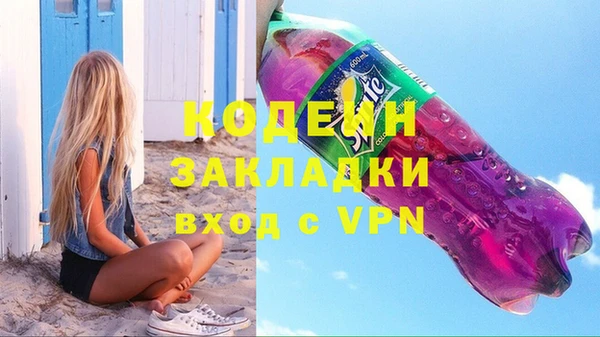 хмурый Белокуриха