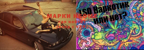 хмурый Белокуриха