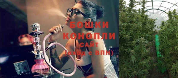 трава Балахна