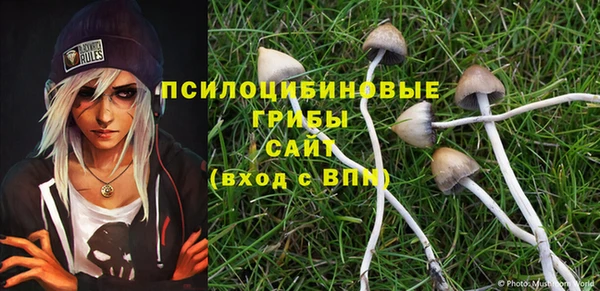 трава Балахна
