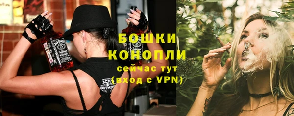 хмурый Белокуриха