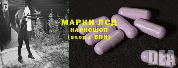 индика Белоозёрский