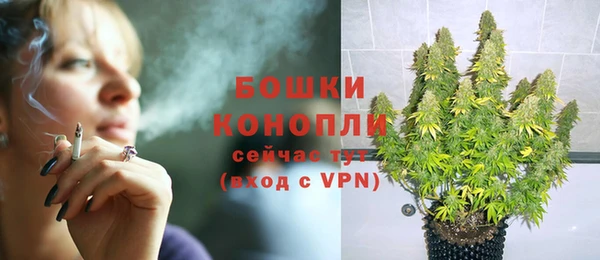 индика Белоозёрский