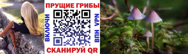 Галлюциногенные грибы Psilocybine cubensis наркота Каменск-Уральский
